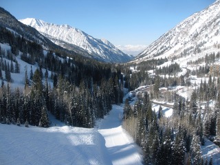 A snowy valley and trees